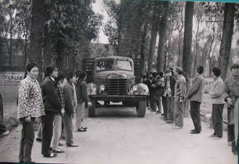 70年代求是路上矗立道路两旁高大笔直的桉树